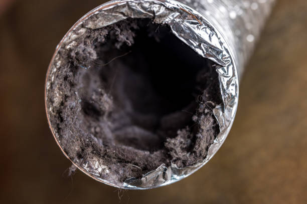 Best Commercial Air Duct Cleaning  in Sughter, LA